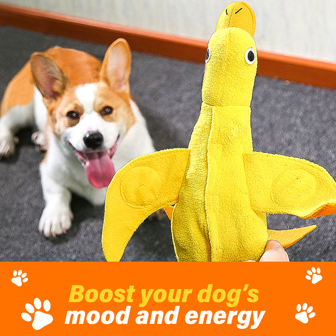 Dog Sniffing Plush Training Toy