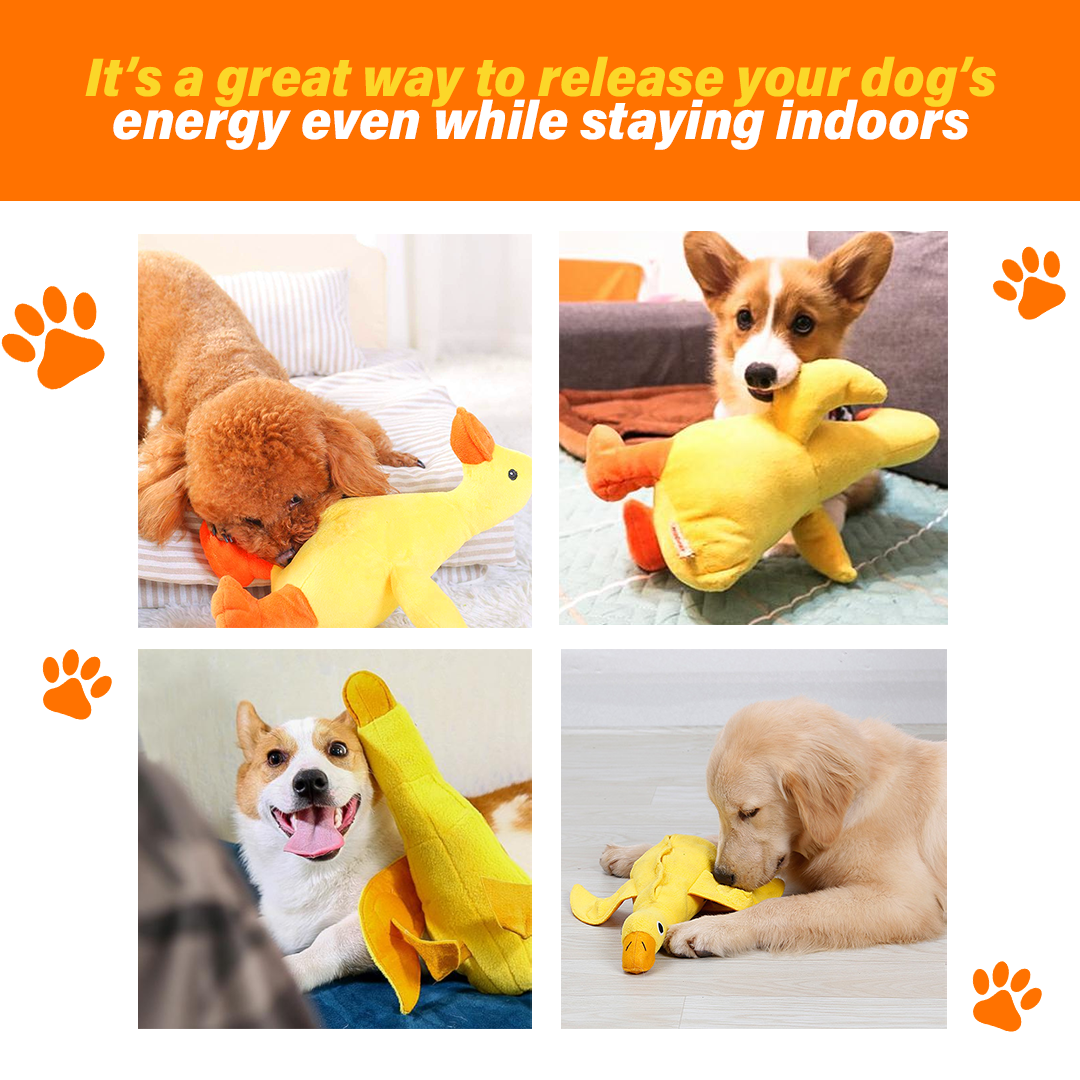 Dog Sniffing Plush Training Toy