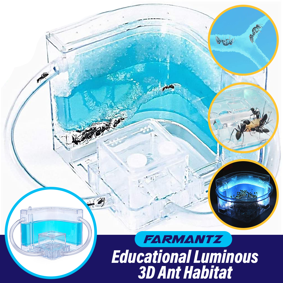 FarmAntz Educational Luminous 3D Ant Habitat