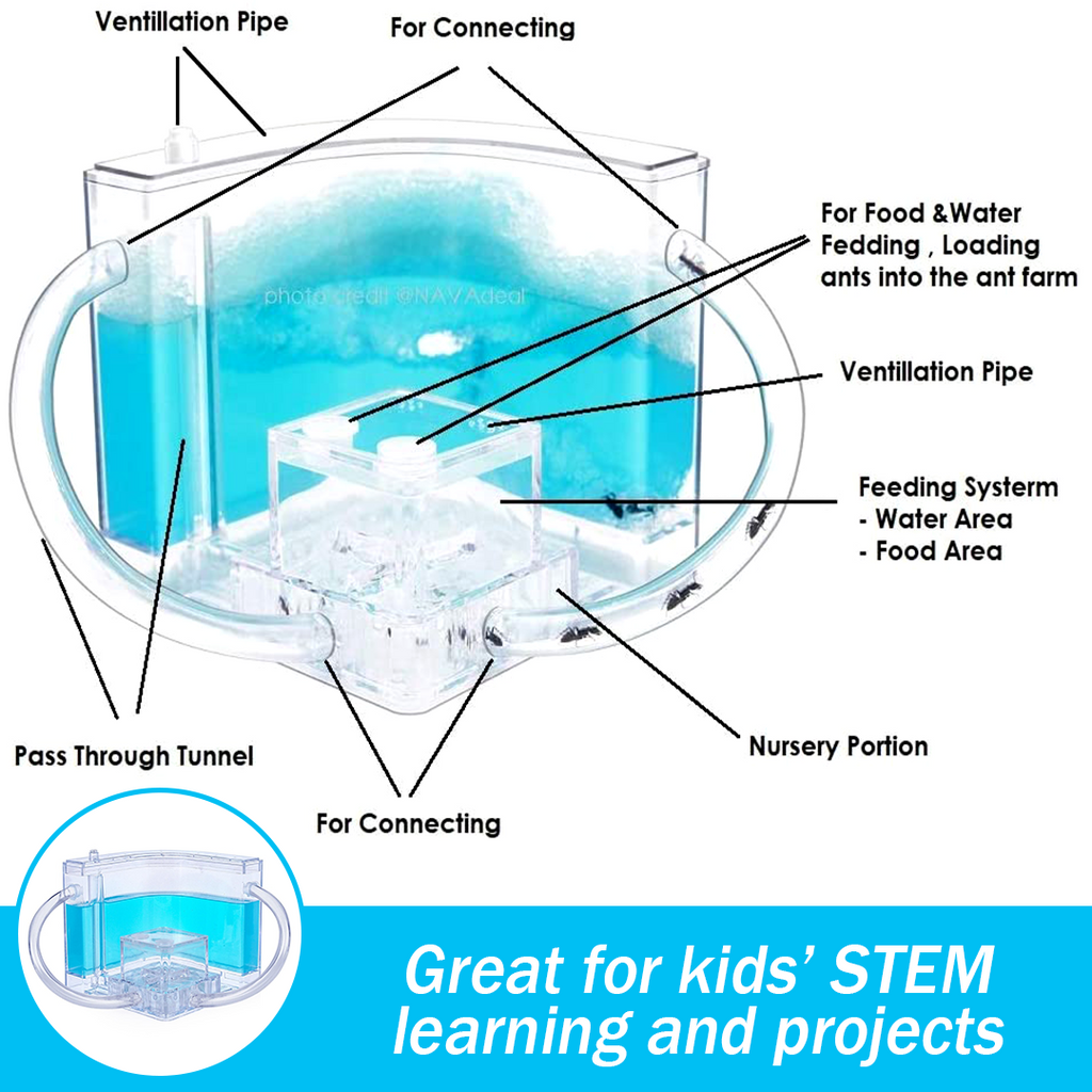 FarmAntz Educational Luminous 3D Ant Habitat