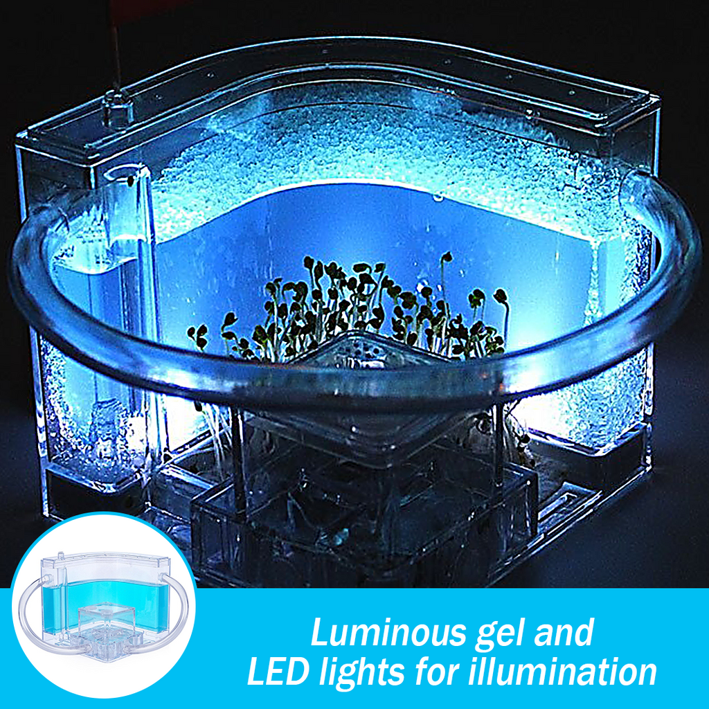 FarmAntz Educational Luminous 3D Ant Habitat