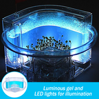 FarmAntz Educational Luminous 3D Ant Habitat