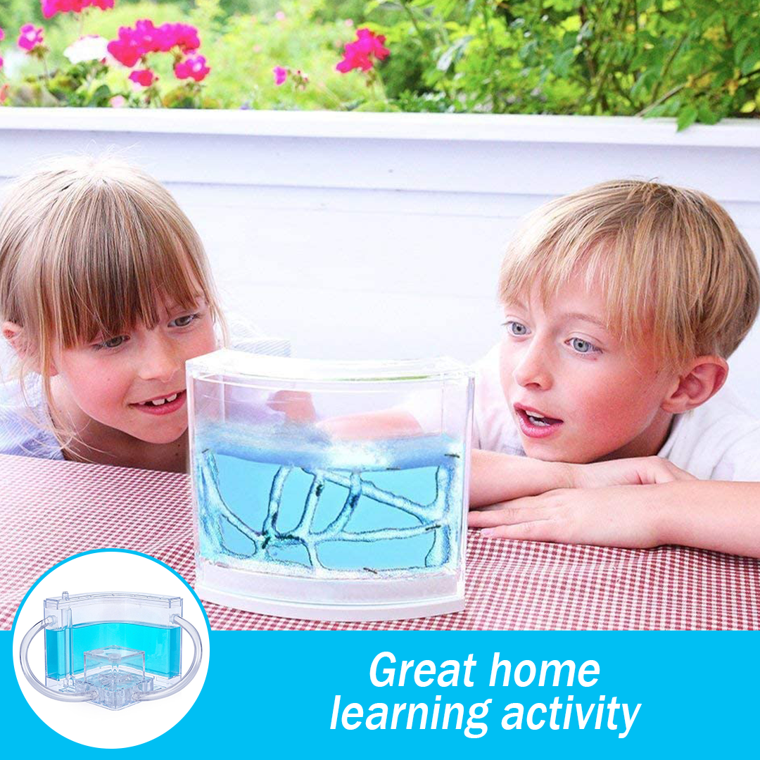 FarmAntz Educational Luminous 3D Ant Habitat