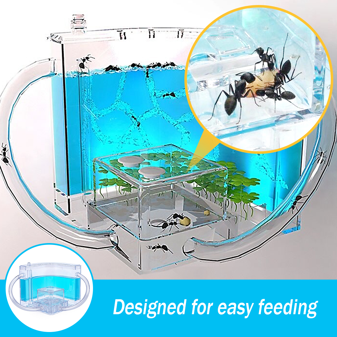 FarmAntz Educational Luminous 3D Ant Habitat