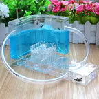 FarmAntz Educational Luminous 3D Ant Habitat