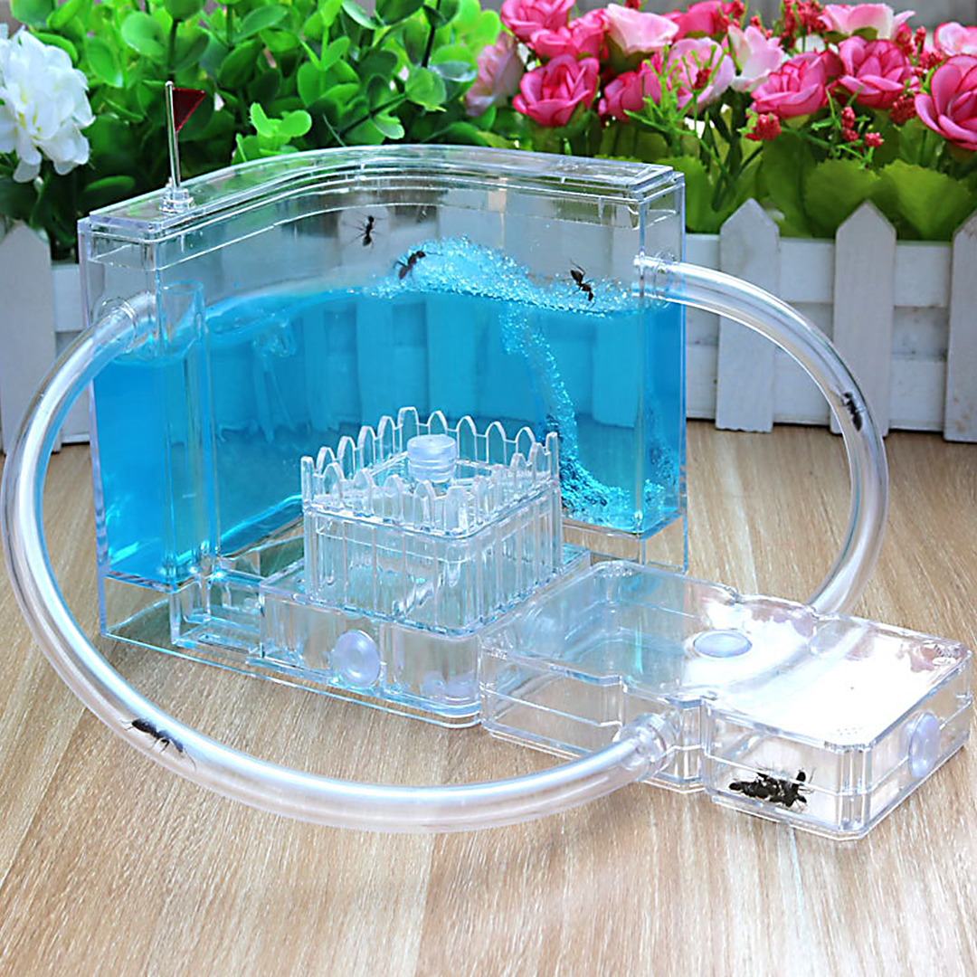 FarmAntz Educational Luminous 3D Ant Habitat