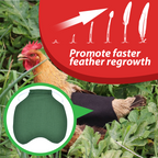 FowlCare Chicken Protection Apron