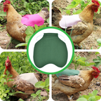 FowlCare Chicken Protection Apron