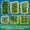 GREENING Pocket Vertical Wall Garden Planter