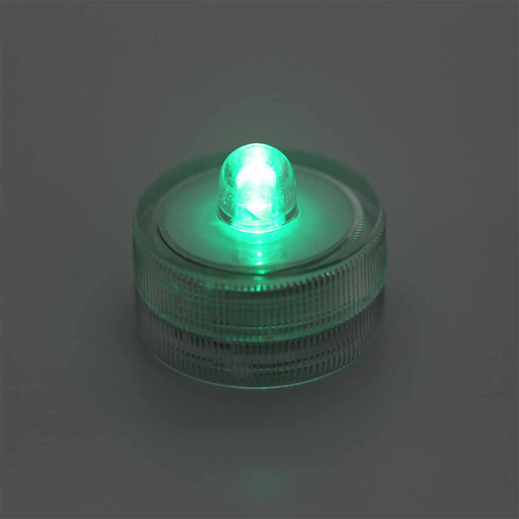 AquaCOOL Mini Fish Tank