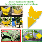 GreenThumb Fruit Fly and Gnat Trap