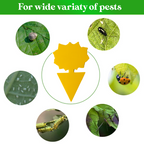 GreenThumb Fruit Fly and Gnat Trap