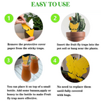 GreenThumb Fruit Fly and Gnat Trap