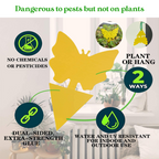 GreenThumb Fruit Fly and Gnat Trap