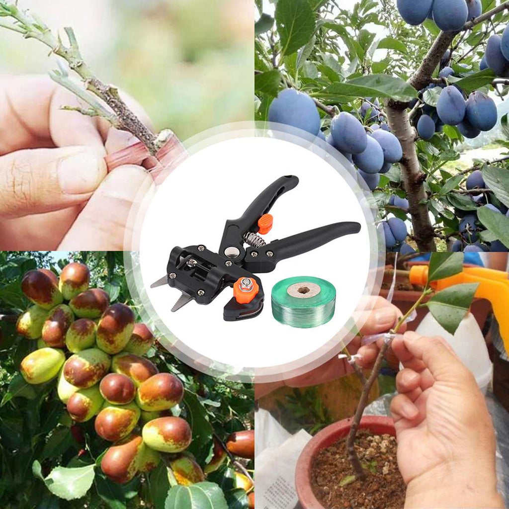 Professional Grafting & Pruning Tool
