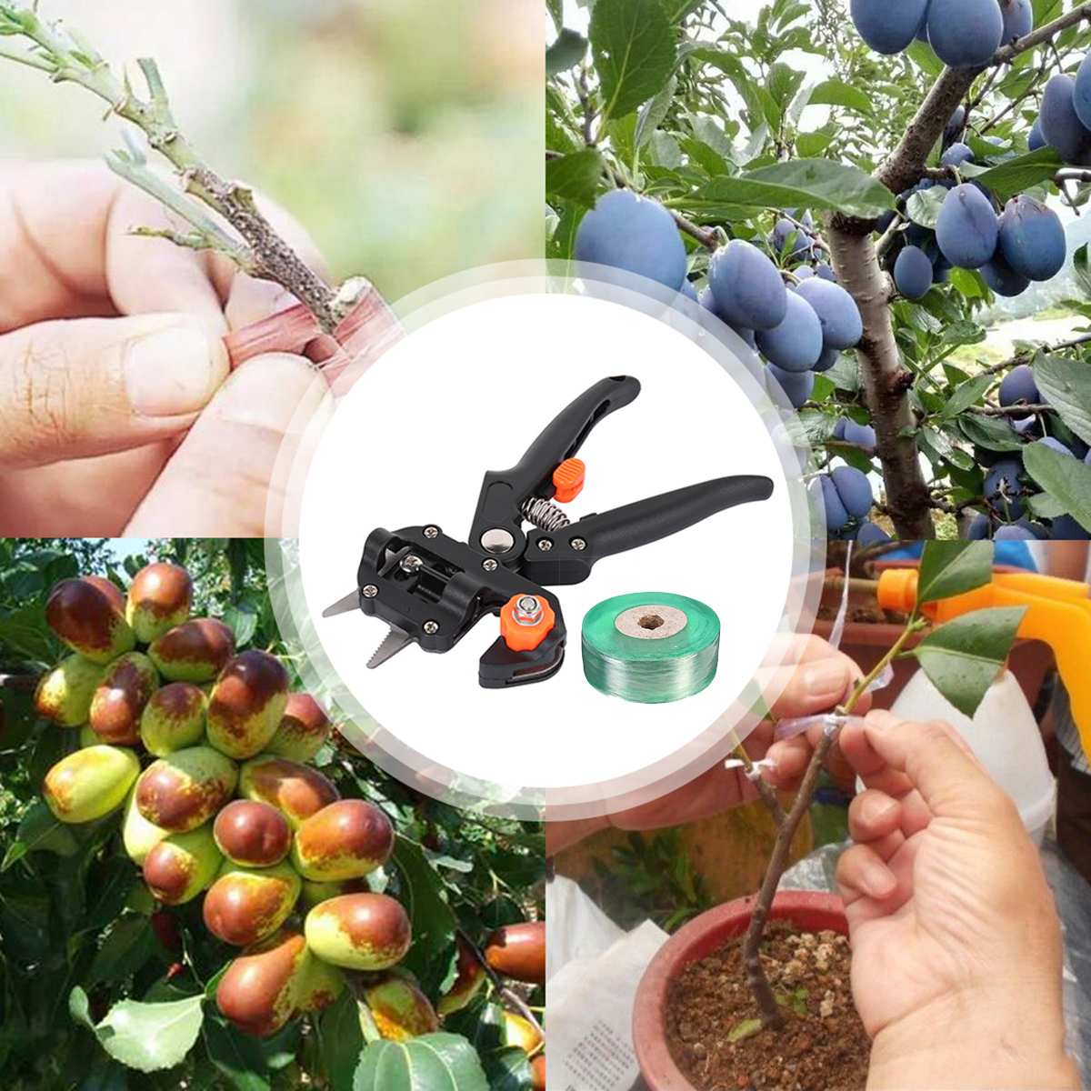 Professional Grafting & Pruning Tool