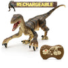 Kid Dinosaur Toy WITH Remote Control