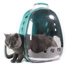 See Through Pet Travel Backpack