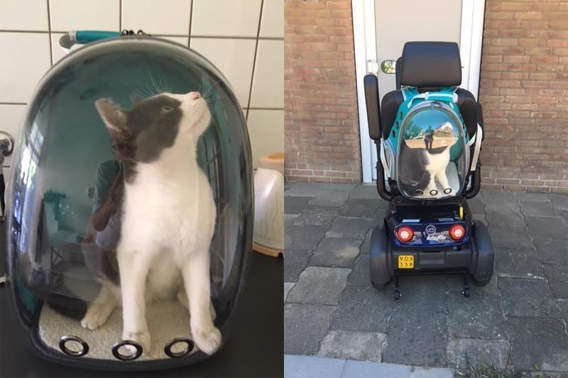 See Through Pet Travel Backpack