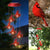 CARDINAL Solar Wind Chime Light