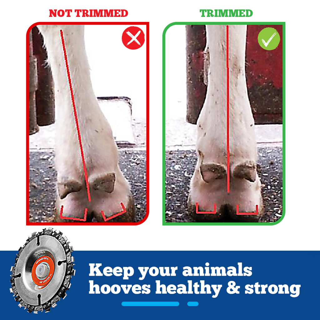 HoofCARE+ Trimming Chain Disc