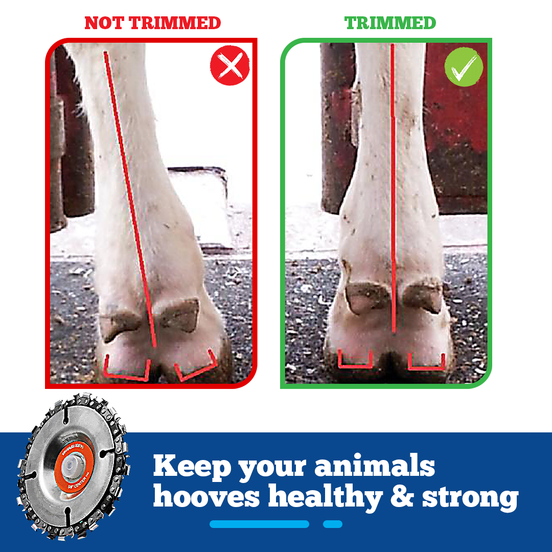 HoofCARE+ Trimming Chain Disc