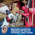 HoofCARE+ Trimming Chain Disc