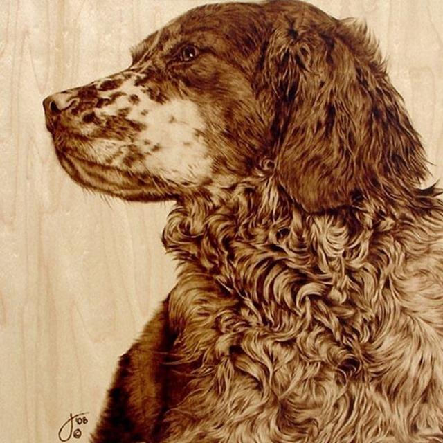 Wood Burning Pyrography Kit - 26pcs