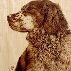 Wood Burning Pyrography Kit - 26pcs