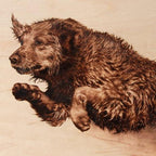 Wood Burning Pyrography Kit - 26pcs