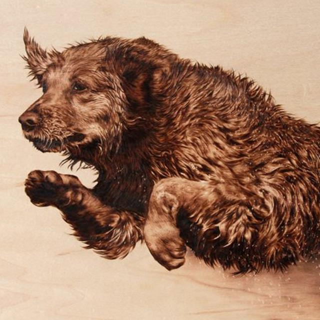 Wood Burning Pyrography Kit - 26pcs