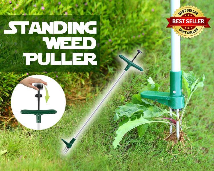 Standing Weed Puller
