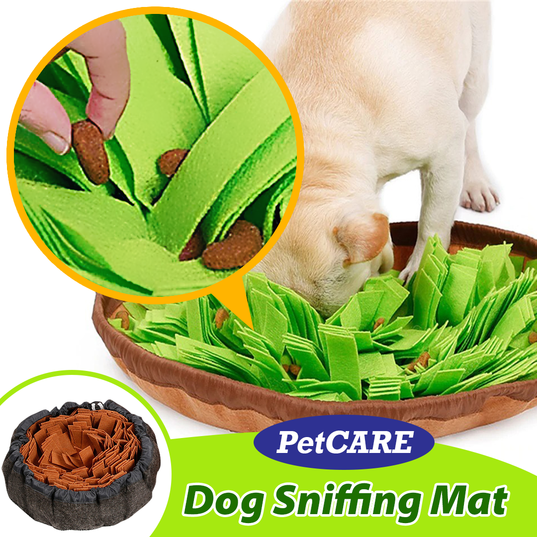 PetCARE Dog Sniffing Mat