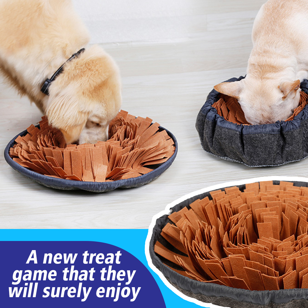 PetCARE Dog Sniffing Mat