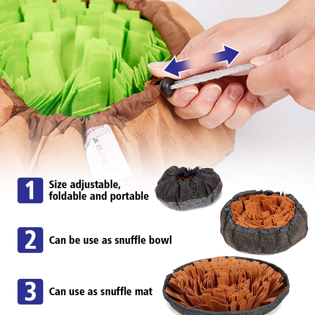PetCARE Dog Sniffing Mat