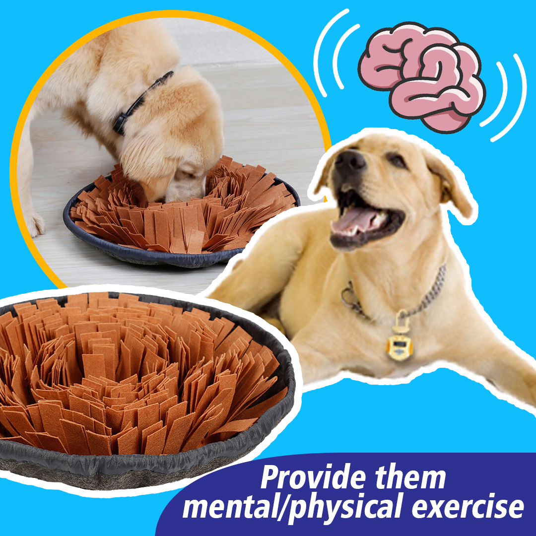 PetCARE Dog Sniffing Mat