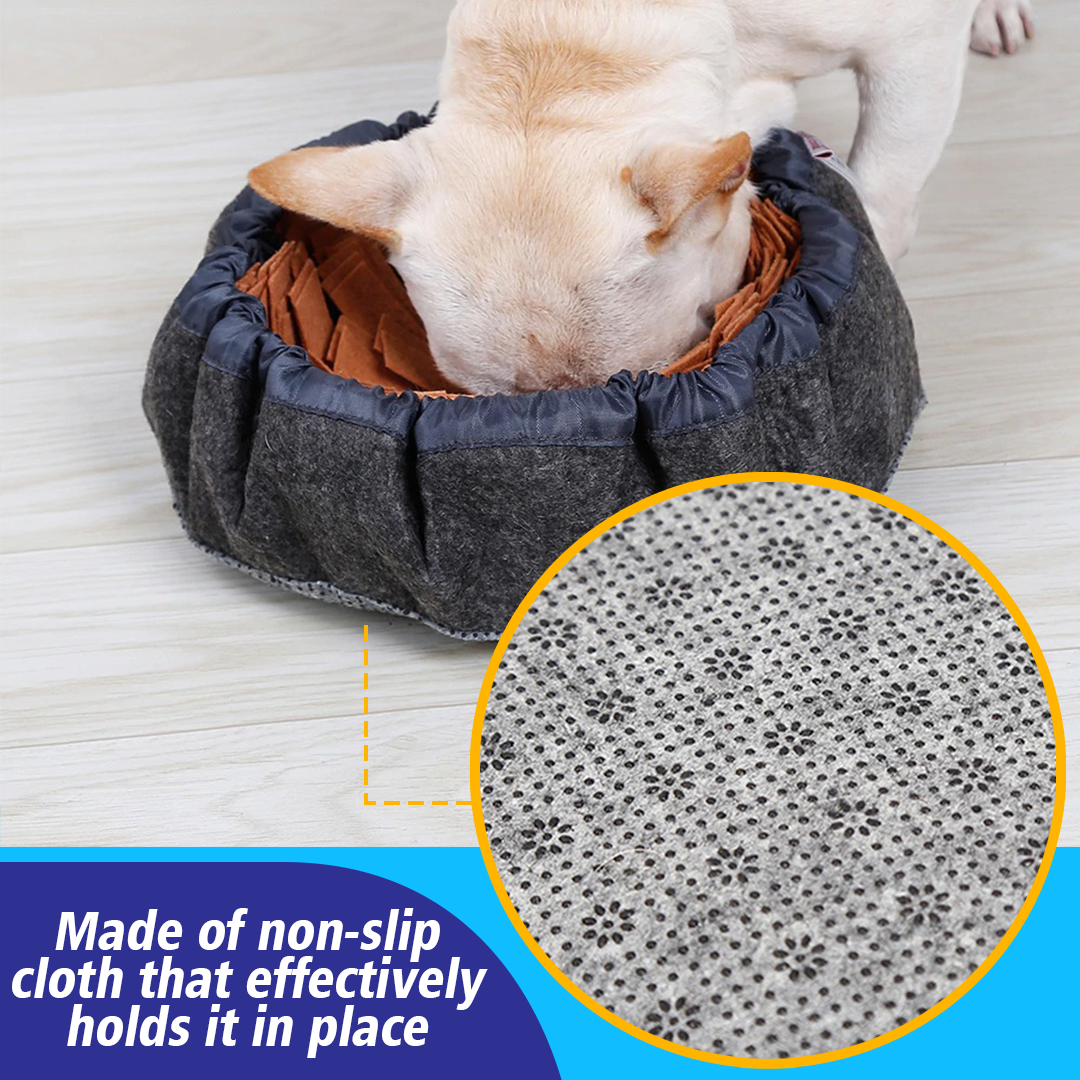 PetCARE Dog Sniffing Mat