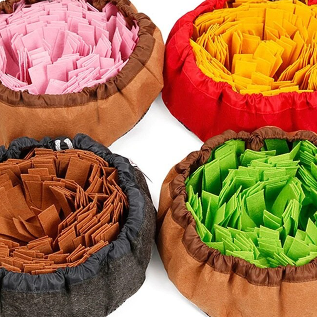 PetCARE Dog Sniffing Mat