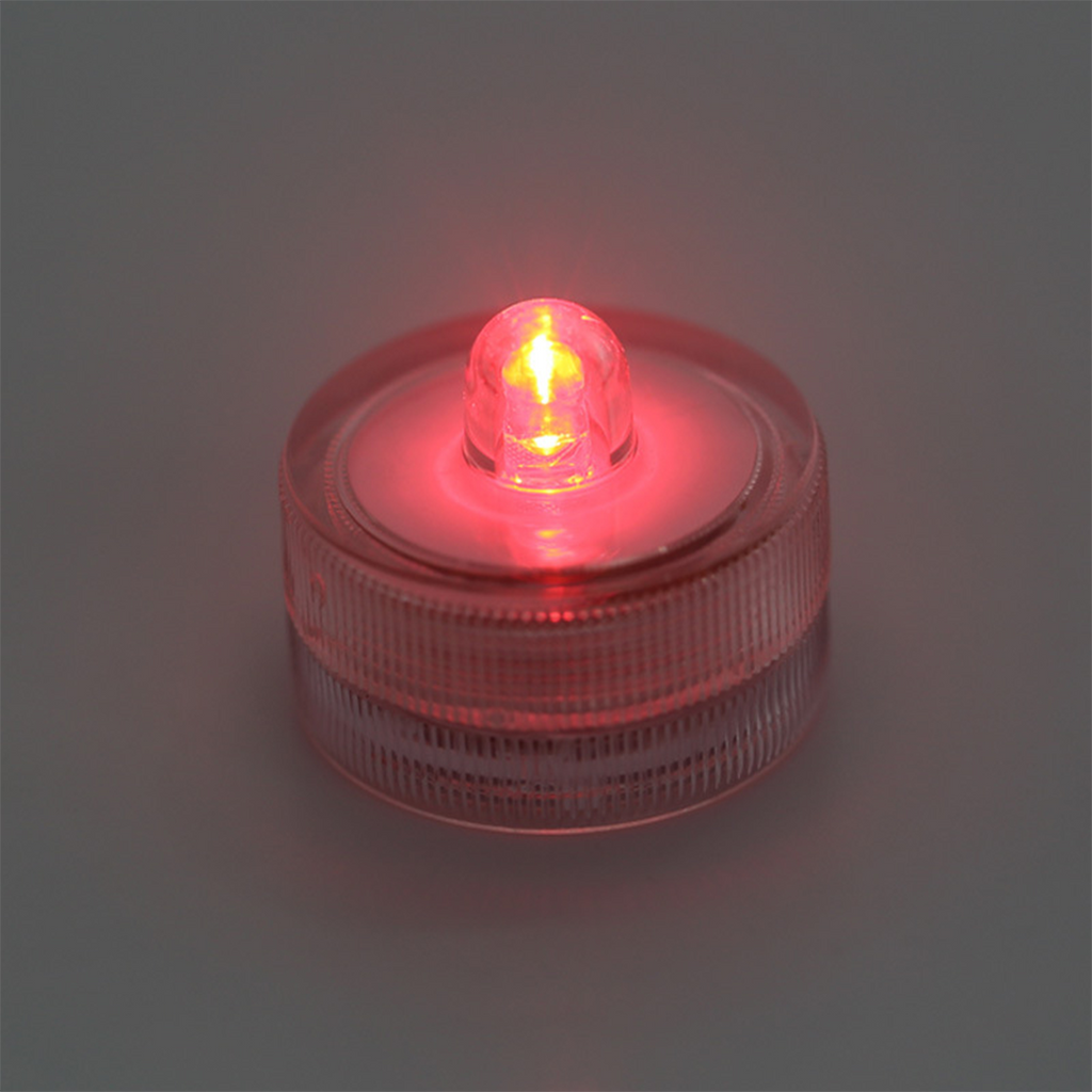 AquaCOOL Mini Fish Tank