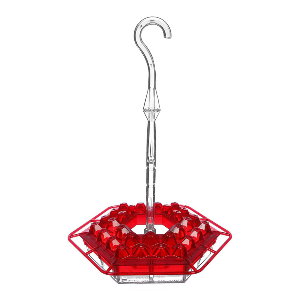 Hummingbird Feeder With Perch