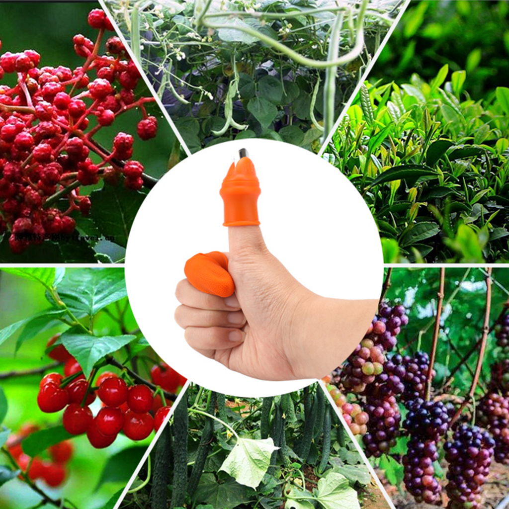 Silicone Finger Cutter and Trimmer