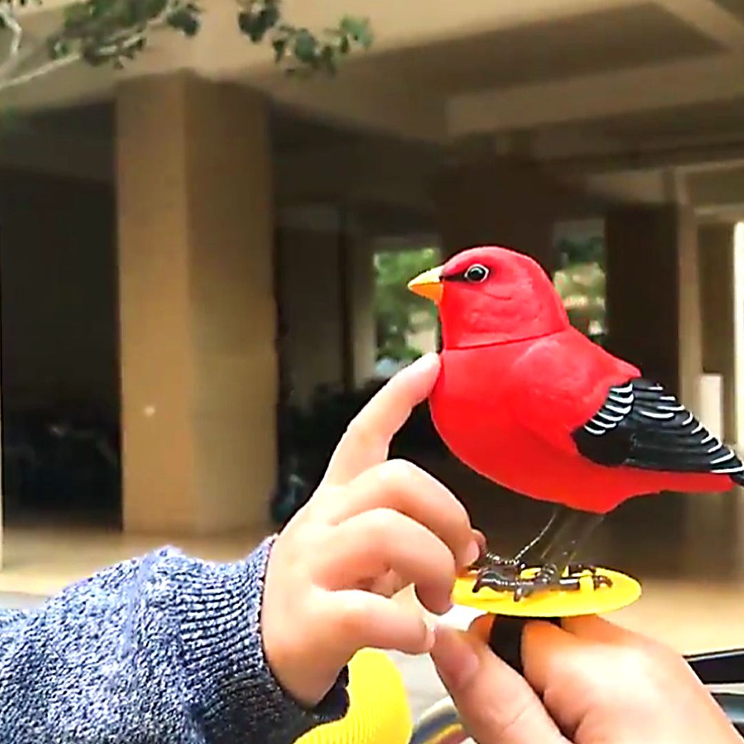 SmartPet Chirping & Singing Bird