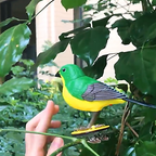 SmartPet Chirping & Singing Bird