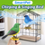 SmartPet Chirping & Singing Bird