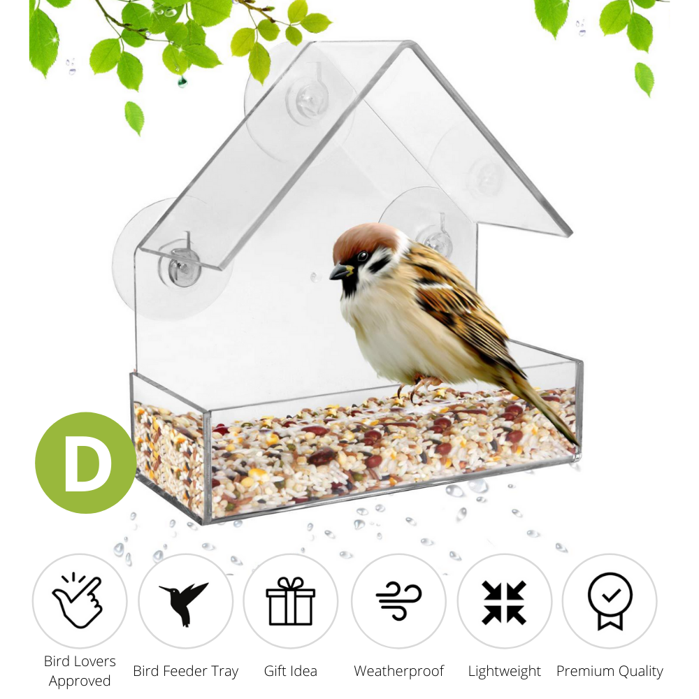 Nature Bird Feeder