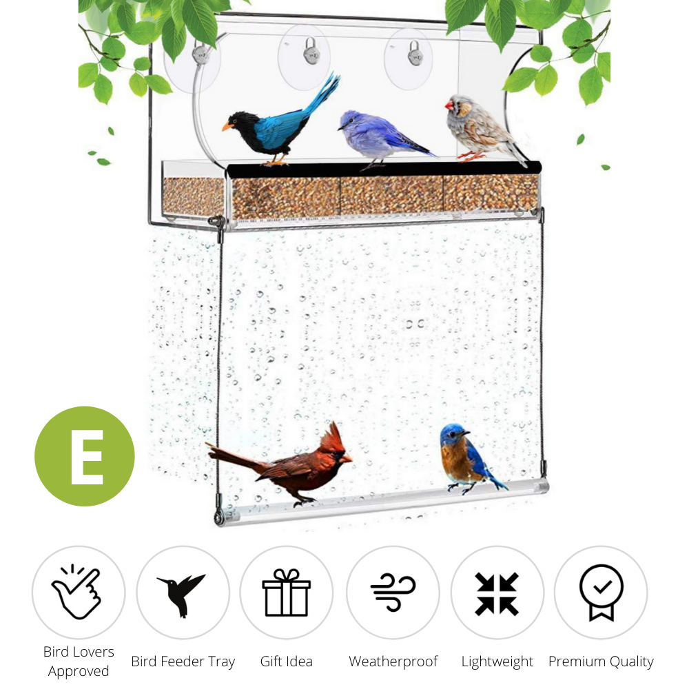 Nature Bird Feeder