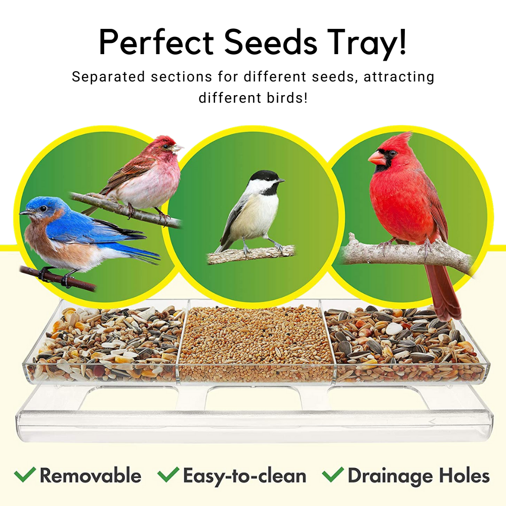 Nature Bird Feeder