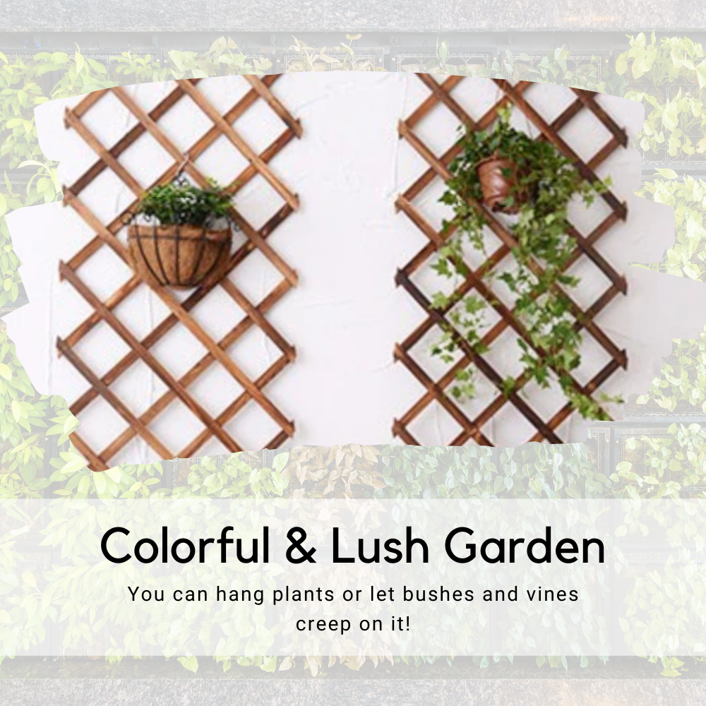 Expanding Garden Trellis