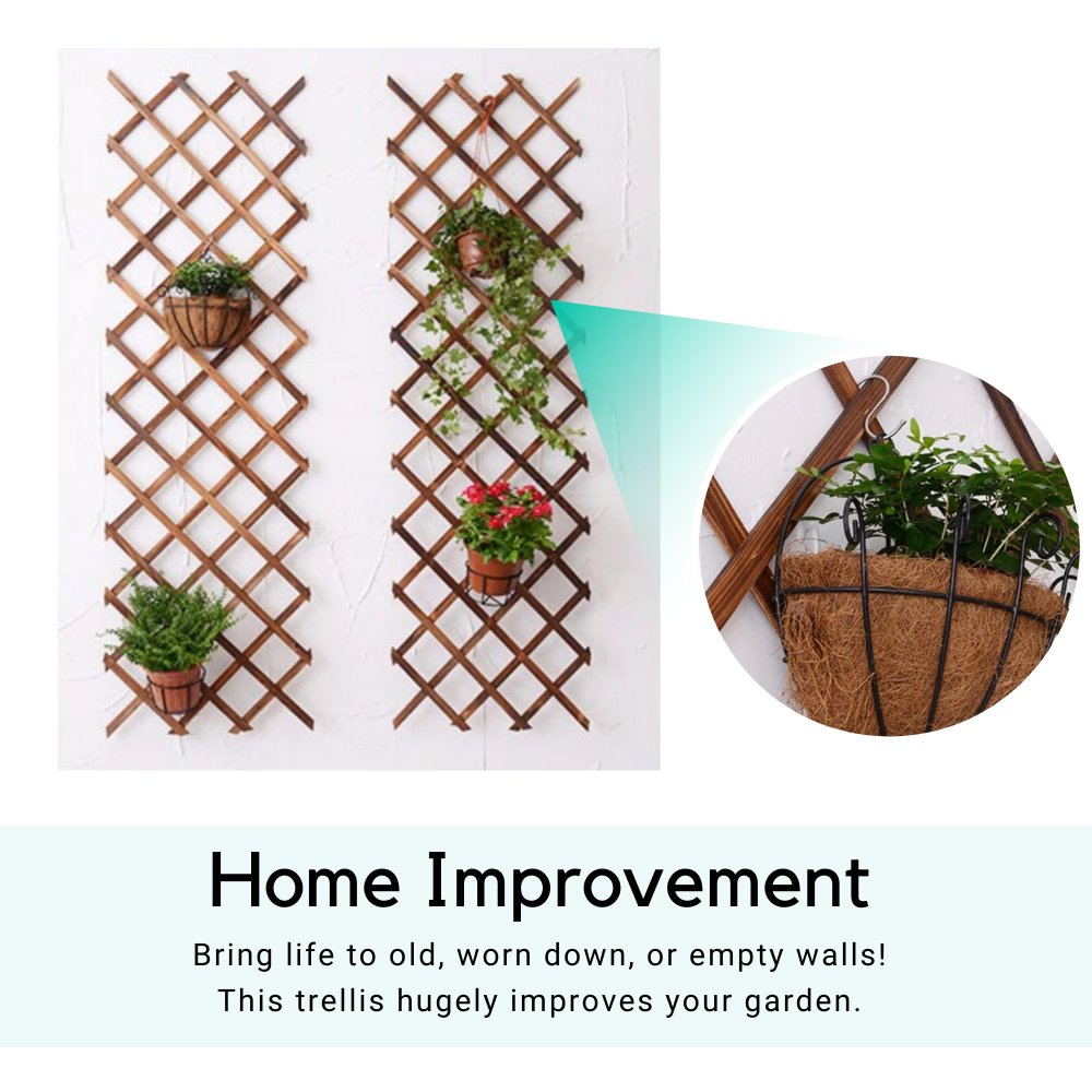 Expanding Garden Trellis