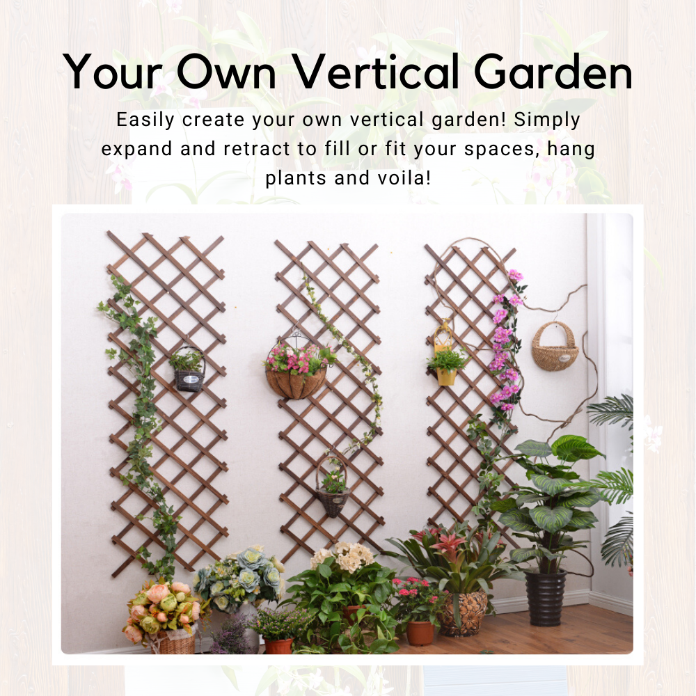 Expanding Garden Trellis